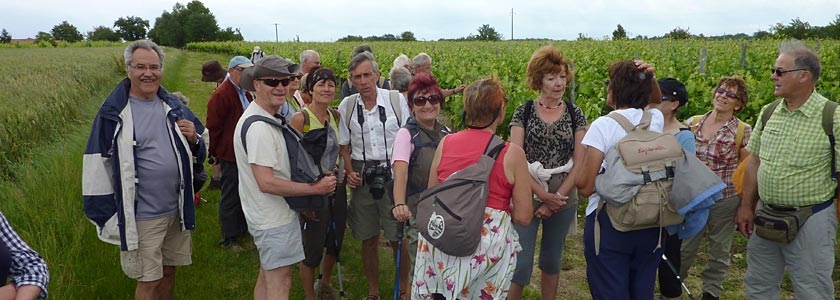 village vacances en charente maritime les chnes verts