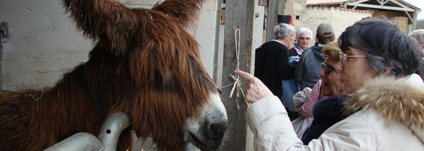village vacances en charente maritime les chênes verts