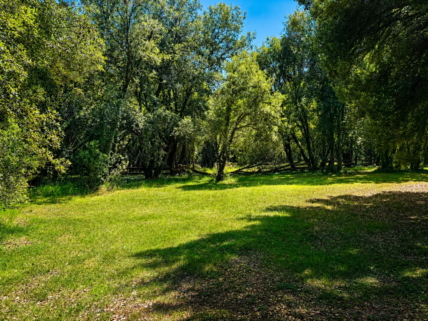 Aire de camping-cars du village vacances Les Ch&ecirc;nes Verts &agrave; Saint-Savinien en Charente-Maritime