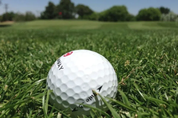 S&eacute;jour golf accompagn&eacute; en Charente-Maritime au village vacances Les Ch&ecirc;nes Verts &agrave; Saint-Savinien